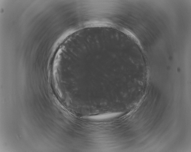 X0000066121419200604071901