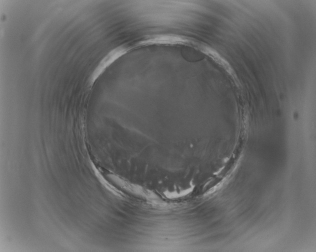 X0000066121425200604071901