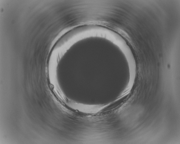 X0000066121428200604071901