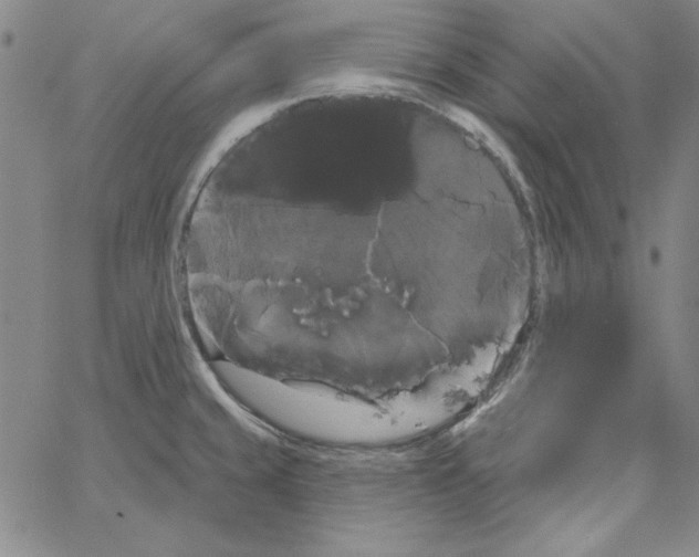 X0000066121429200604071901