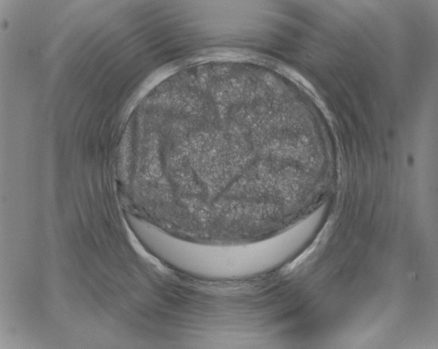 X0000066121433200604071901