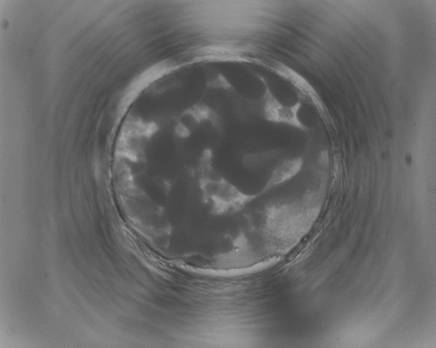 X0000066121435200604071901