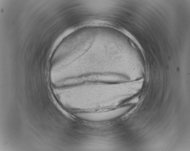 X0000066121437200604071901