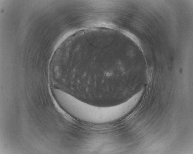 X0000066121439200604071901