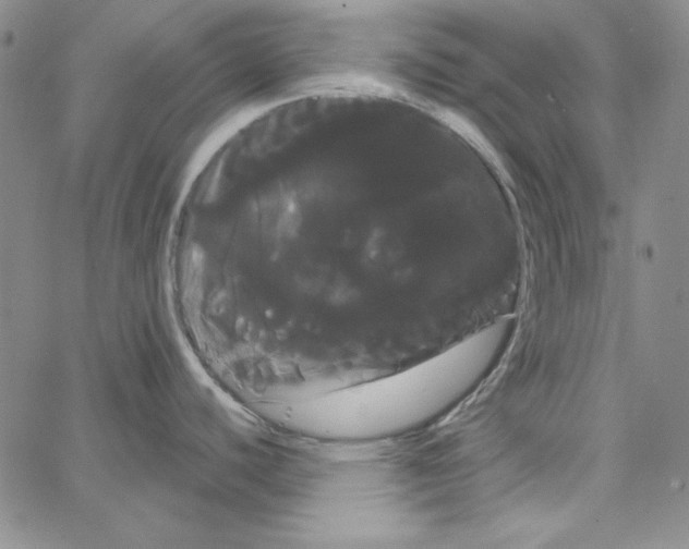 X0000066121440200604071901