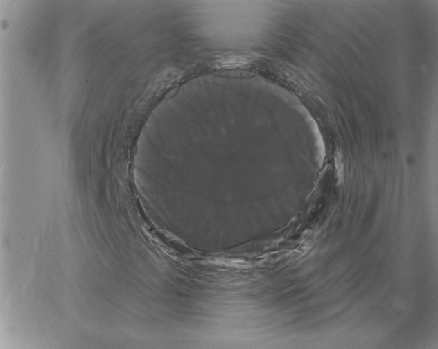 X0000066121441200604071900