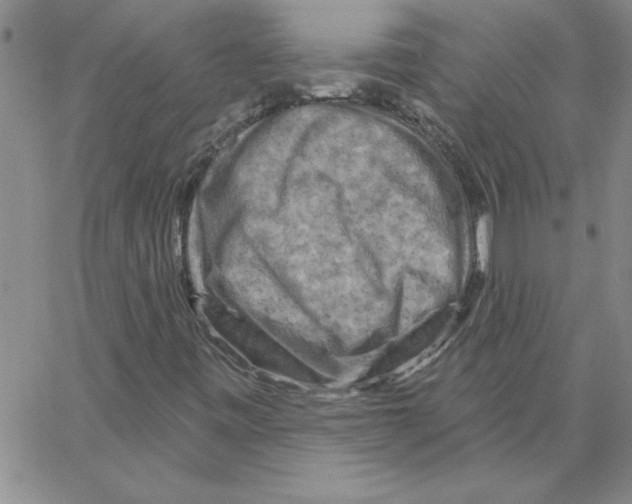 X0000066121443200604071900