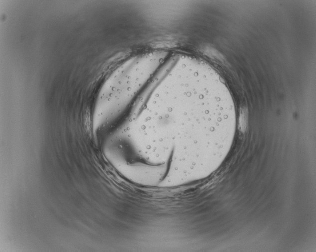 X0000066121444200604071900