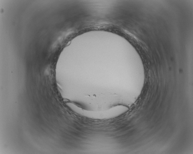 X0000066121447200604071900