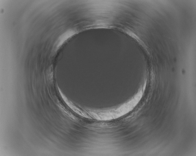 X0000066121450200604071900