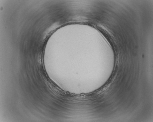 X0000066121451200604071900