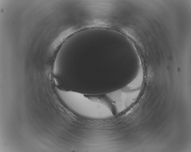 X0000066121455200604071900