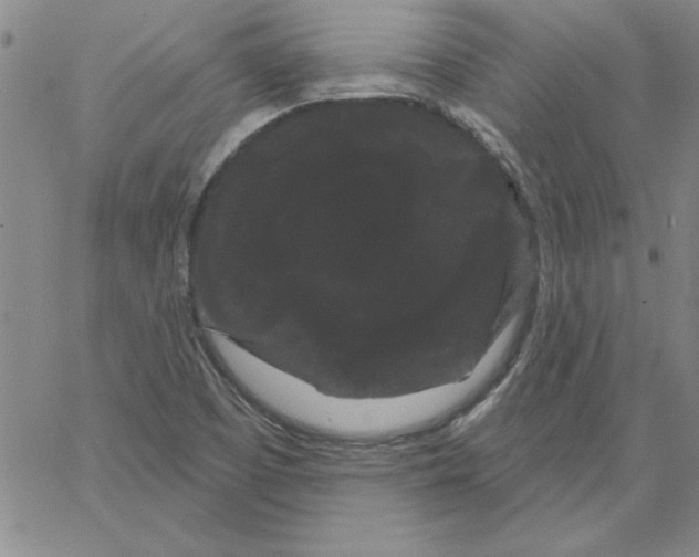 X0000066121457200604071900