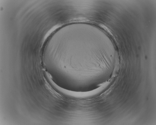 X0000066121458200604071900