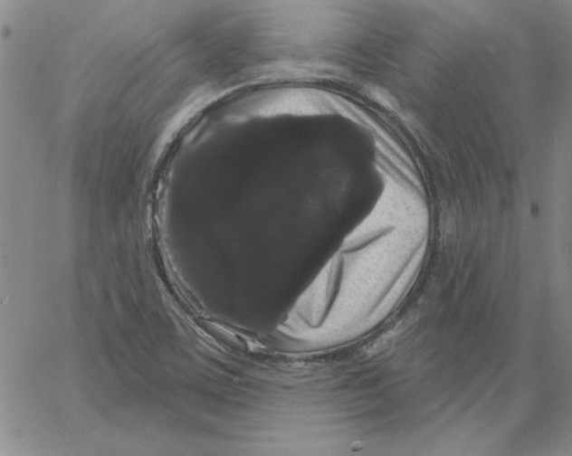 X0000066121459200604071900