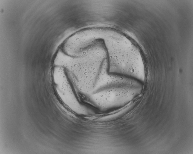 X0000066121460200604071900