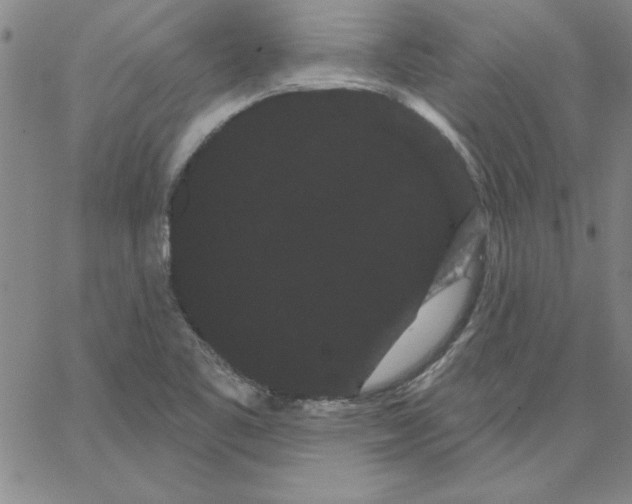 X0000066121461200604071900