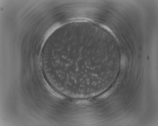 X0000066121466200604071900