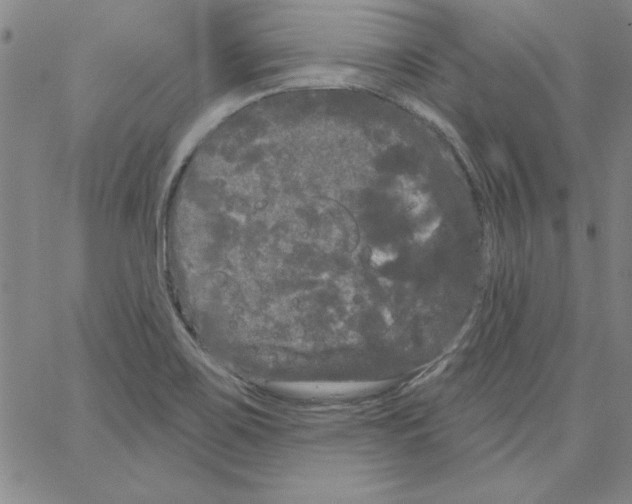 X0000066121467200604071900