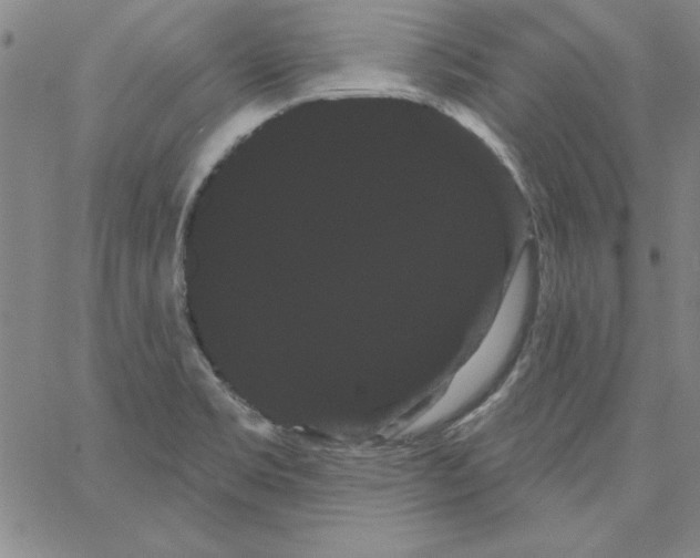 X0000066121469200604071900