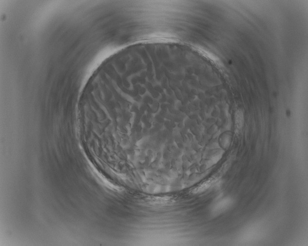 X0000066121470200604071900