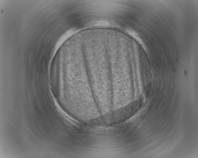 X0000066121475200604071900