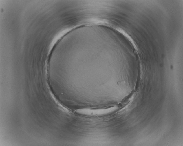 X0000066121477200604071900