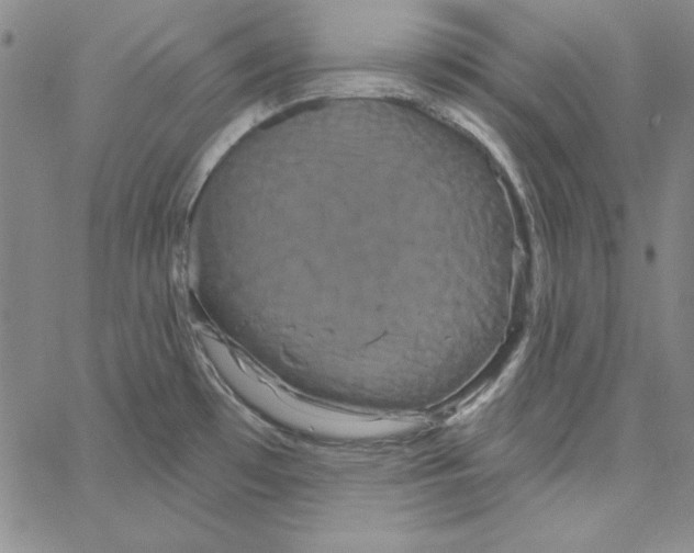 X0000066121481200604071900