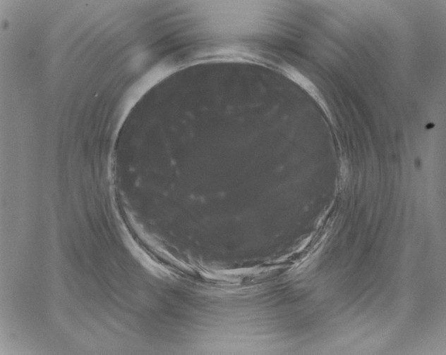 X0000066121482200604071900