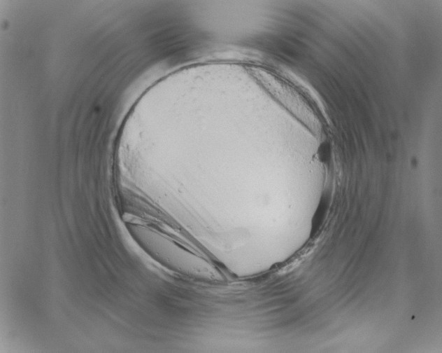 X0000066121483200604071859