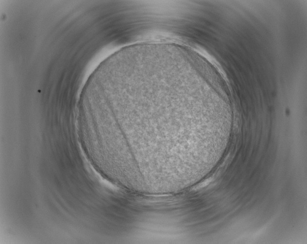 X0000066121486200604071859