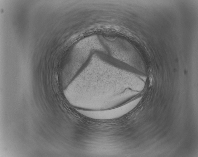 X0000066121489200604071859