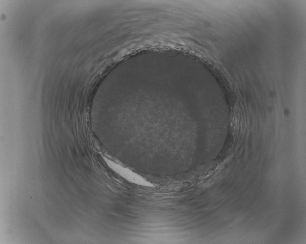 X0000066121490200604071859