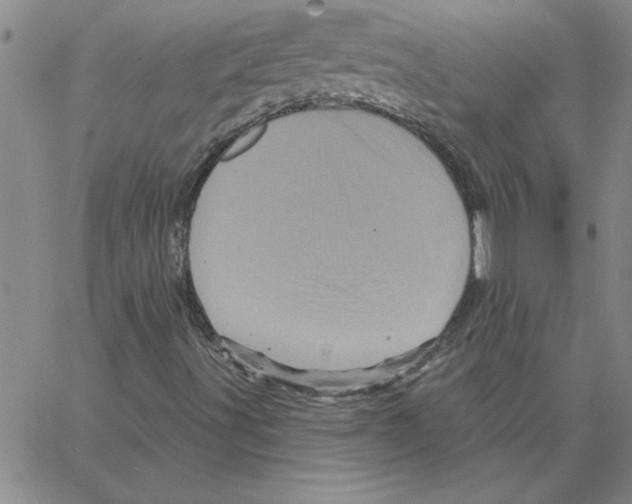 X0000066121491200604071859