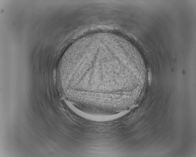 X0000066121492200604071859