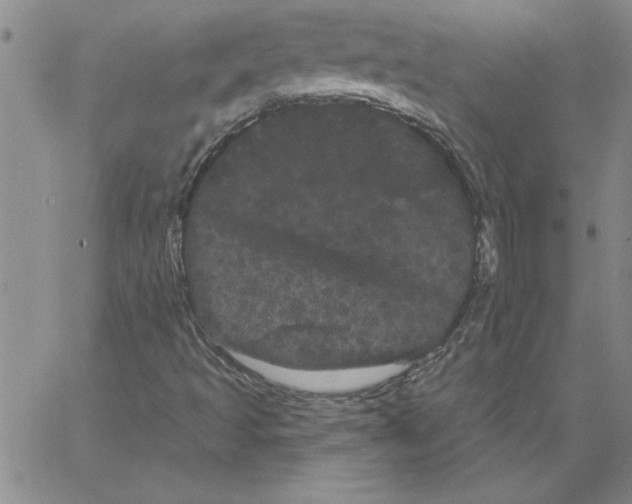 X0000066121493200604071859