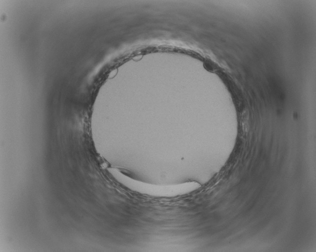 X0000066121495200604071859