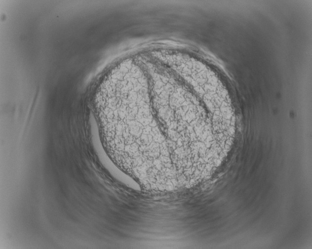 X0000066121496200604071859