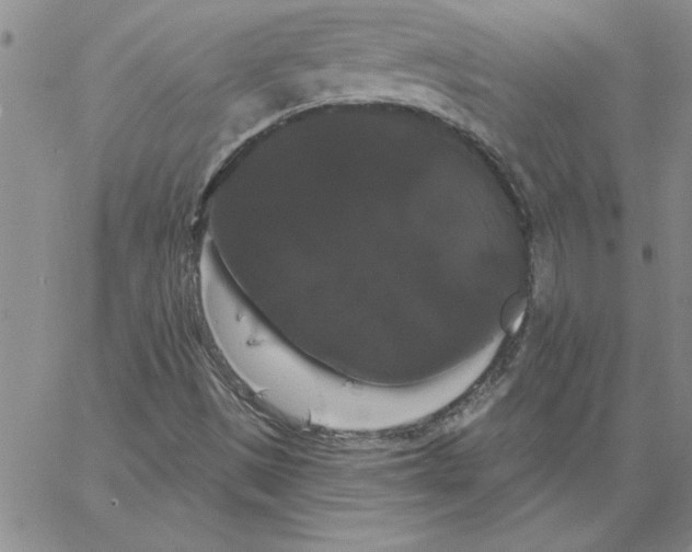 X0000066121497200604071859