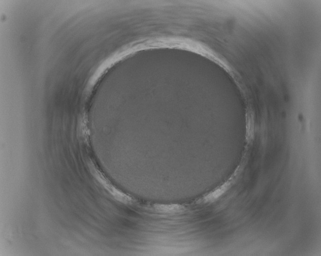 X0000066121498200604071859