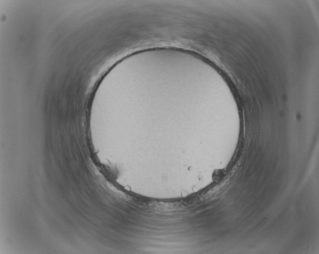 X0000066121500200604071859