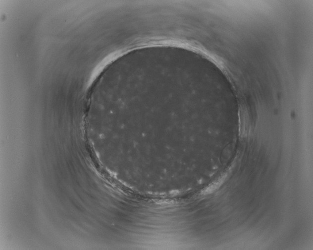 X0000066121501200604071859