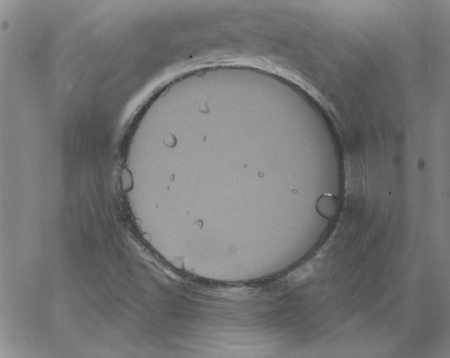 X0000066121502200604071859