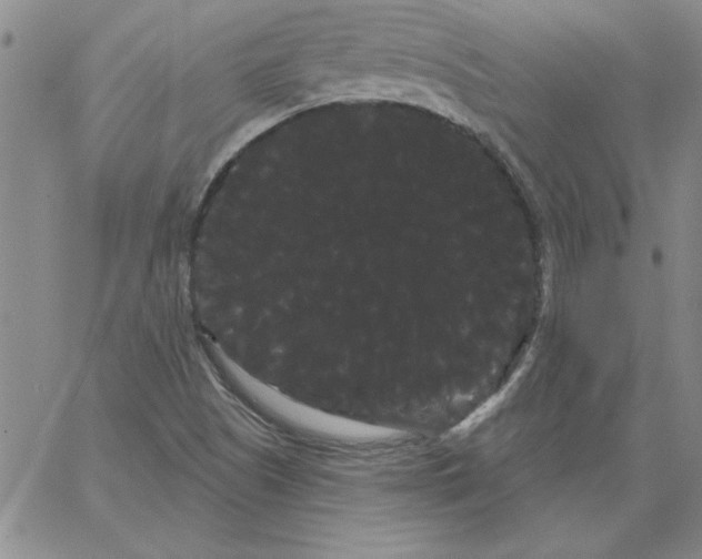 X0000066121505200604071859