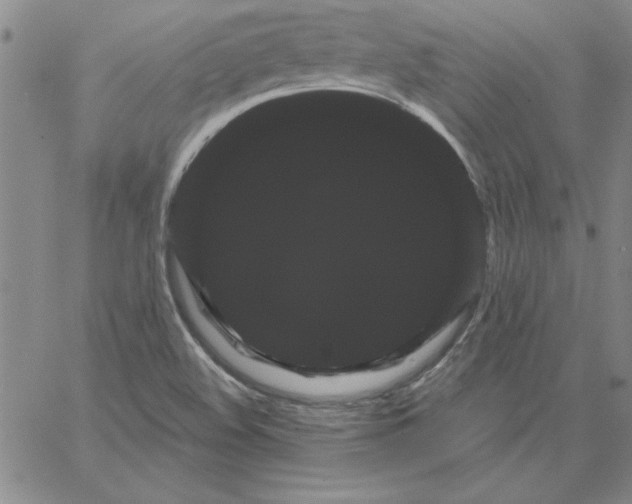 X0000066121508200604071859