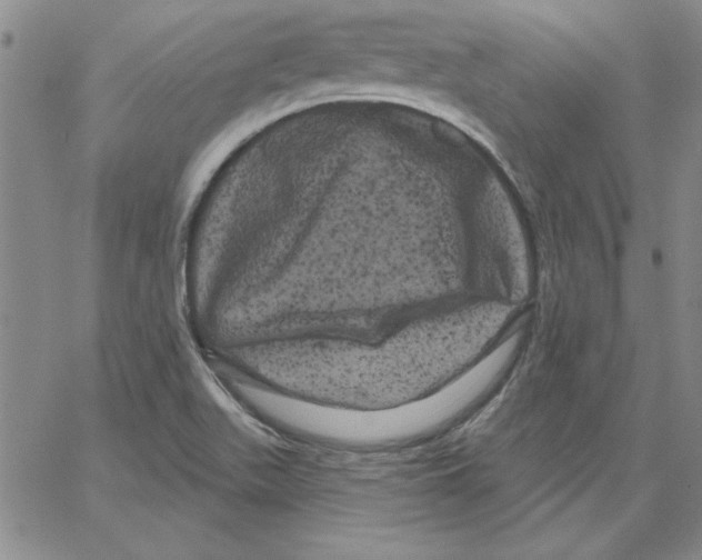 X0000066121511200604071859