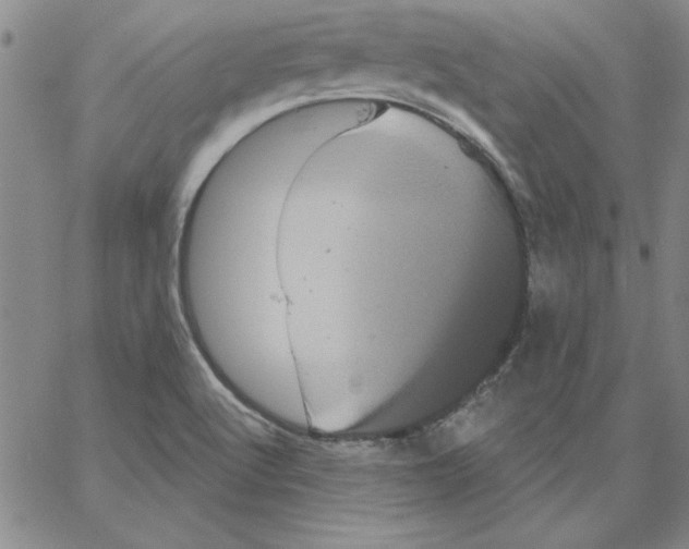 X0000066121512200604071859