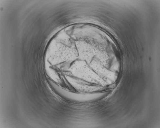 X0000066121513200604071859