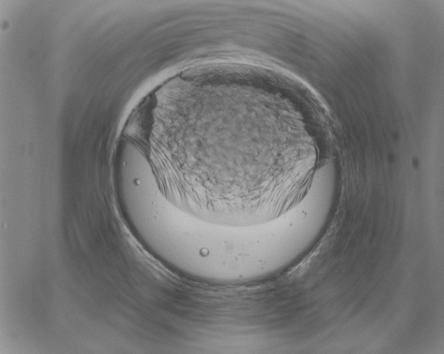 X0000066121514200604071859