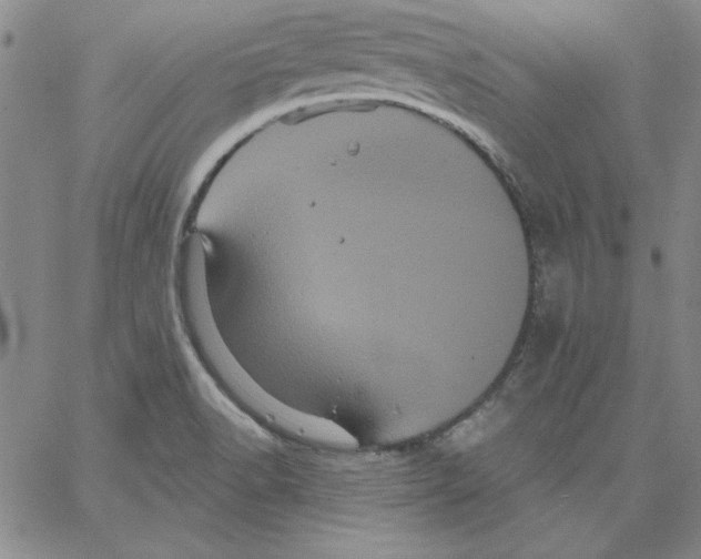 X0000066121518200604071859